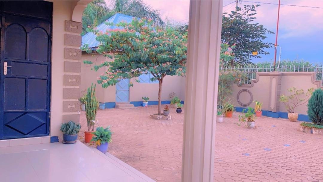 Evelina House Hostel Boma la Ngombe Luaran gambar